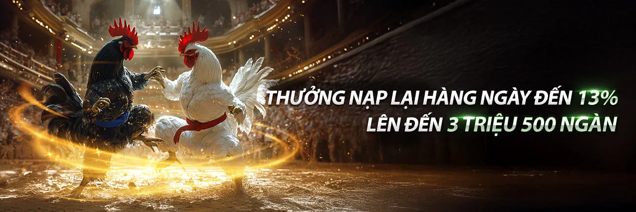 Đá gà Full88 kịch tính 2026